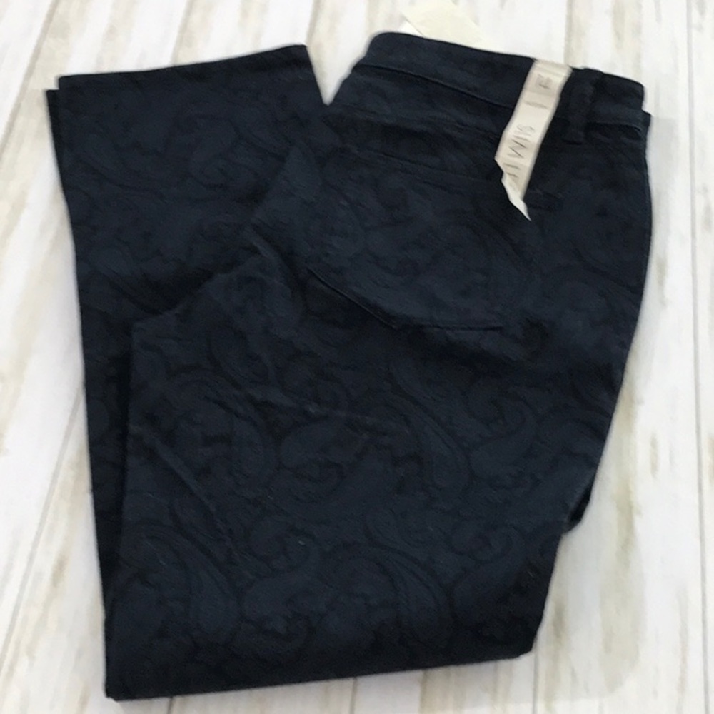 NWT JEANS! ANN TAYLOR MODERN FIT SLIM LEG